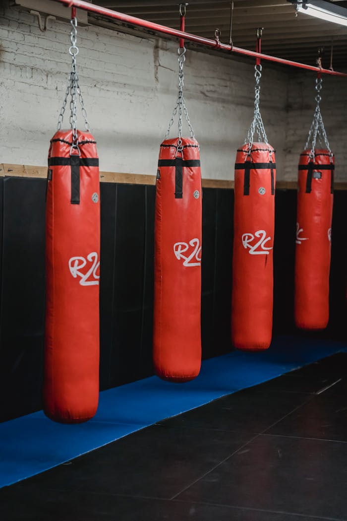Home Interior of boxing gym with heavy punching bags hanging on chains for workout